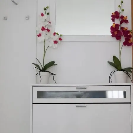 Lacus - With A View *